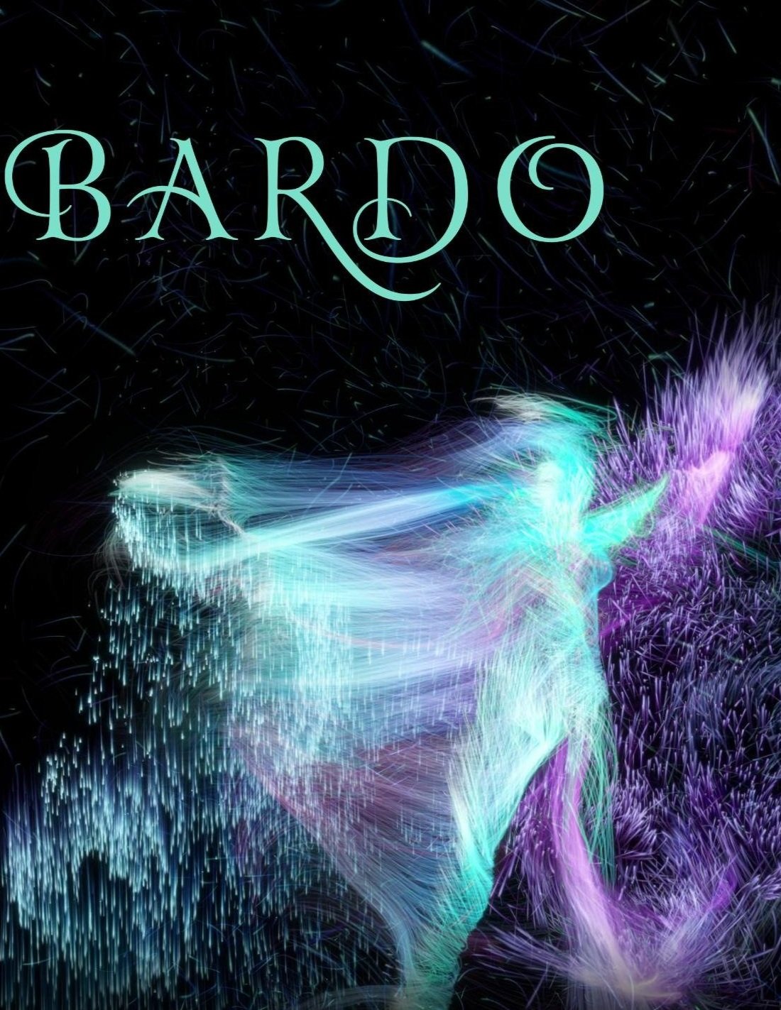 Bardo interactive installation