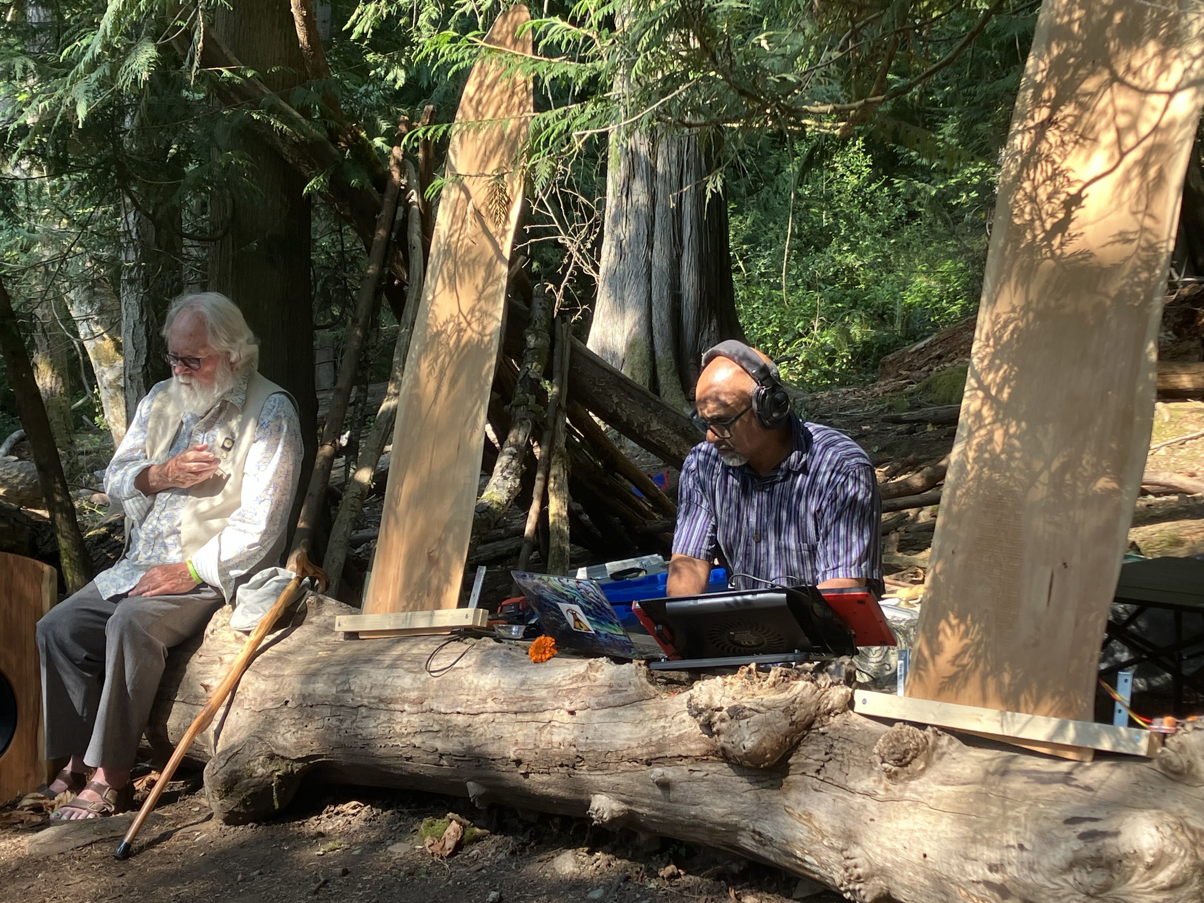 Forest Awakening performance installation in a cedar grove